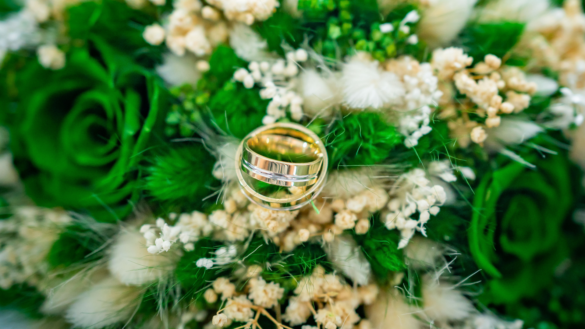 Fotografii de nunta Fotografii de nunta